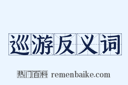 巡游反义词是什么意思的图片